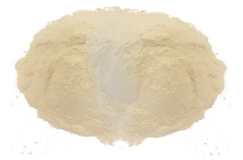 Dátil en polvo - Global Foods - gfespana.es