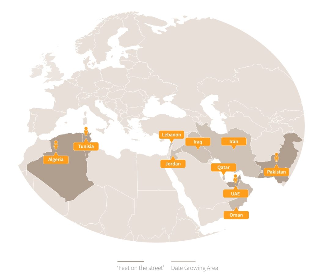 Regiones clave de cultivo de dátiles - Global Foods - gfespana.es